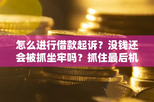 武汉怎么进行借款起诉？没钱还会被抓坐牢吗？抓住最后机会！