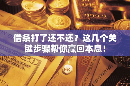 武汉借条打了还不还？这几个关键步骤帮你赢回本息！